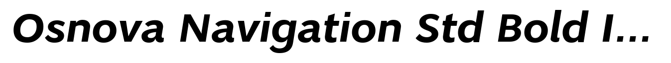 Osnova Navigation Std Bold Italic
